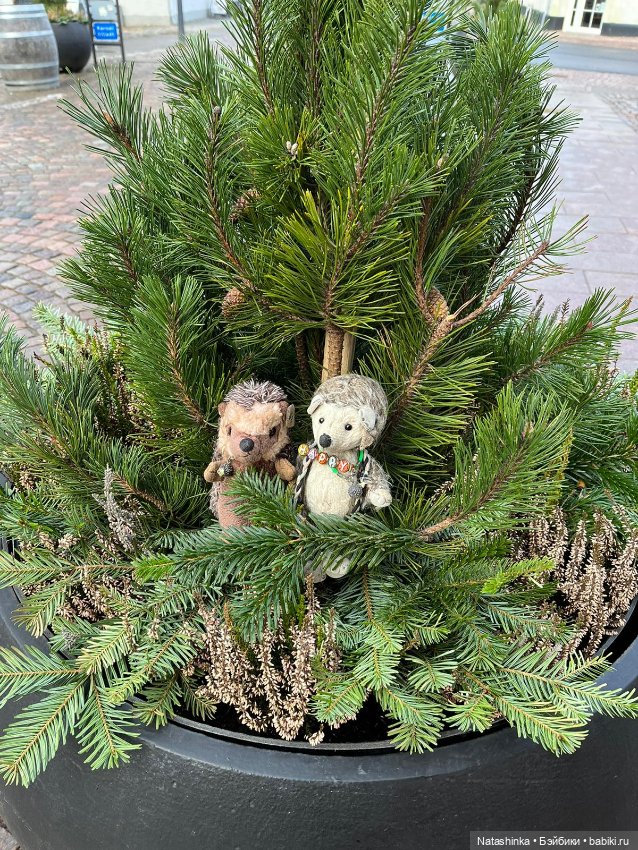 Музыкальная История 85 — Туризм и путешествия: фотоотчеты из поездок