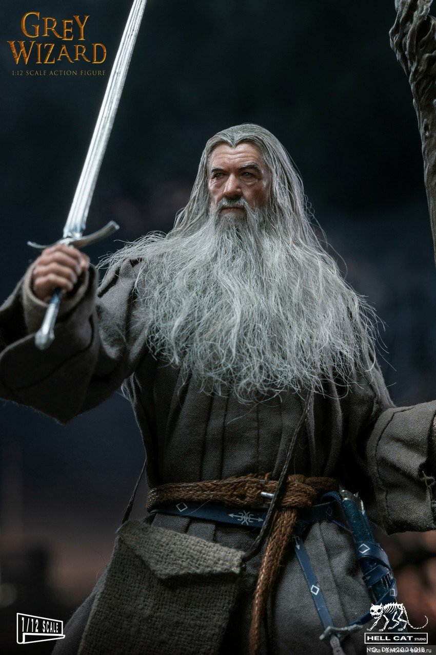 Гэндальф Серый и Балрог - Hell Cat (фото 8)