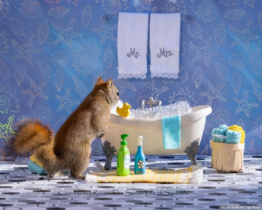 Миниатюры с белками от Nancy Rose (фото 7)