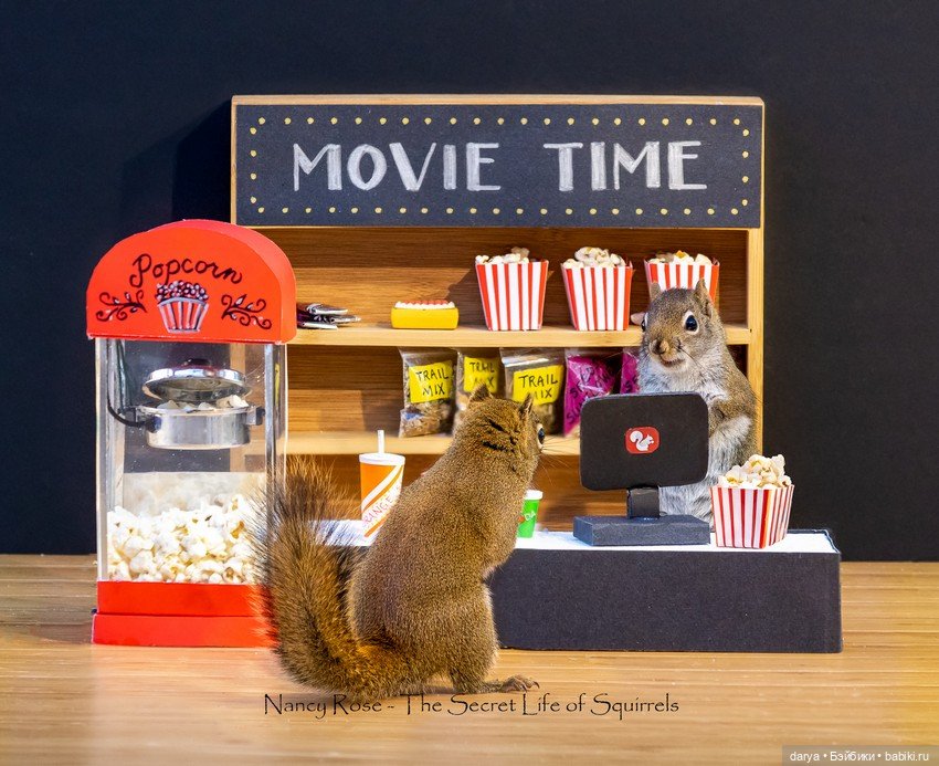 Миниатюры с белками от Nancy Rose