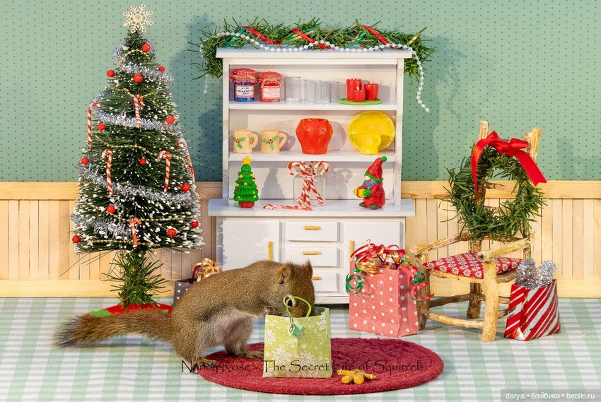 Миниатюры с белками от Nancy Rose