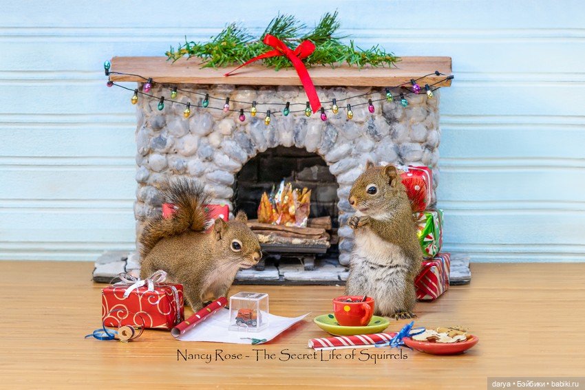 Миниатюры с белками от Nancy Rose