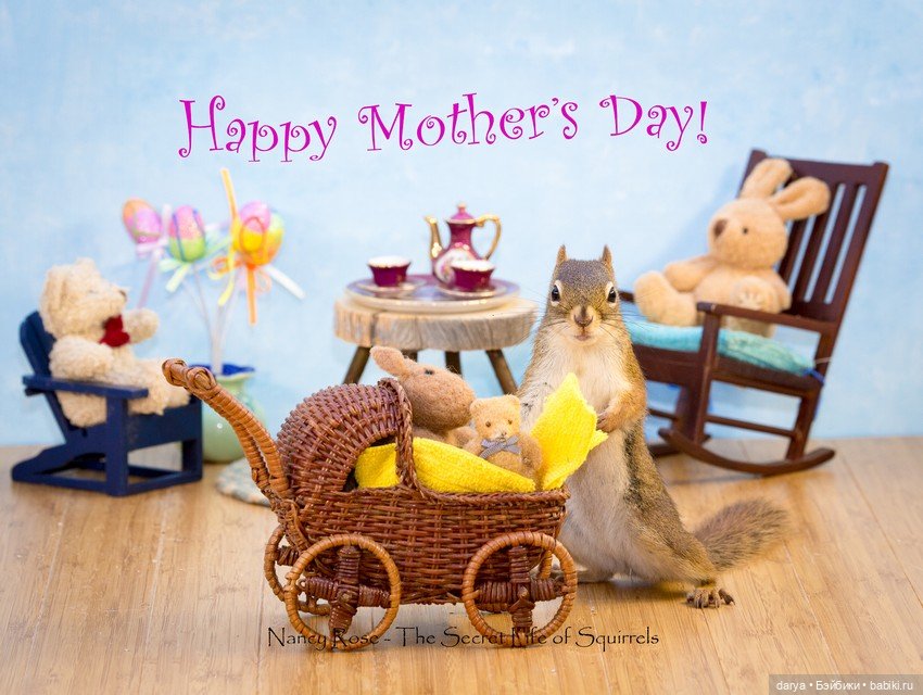 Миниатюры с белками от Nancy Rose (фото 9)