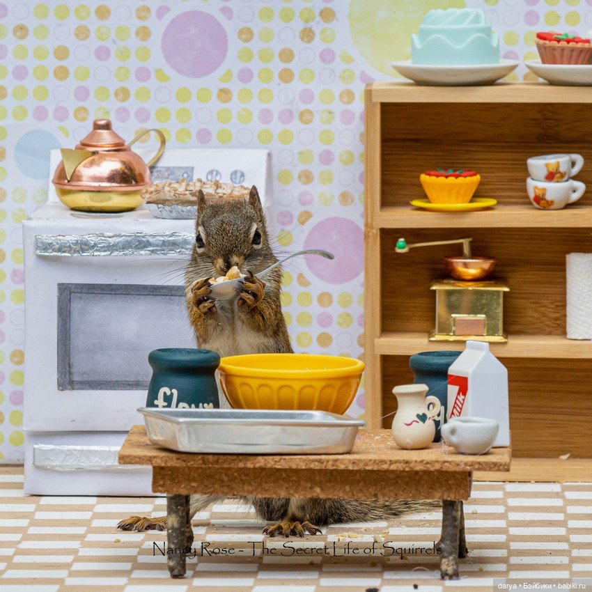 Миниатюры с белками от Nancy Rose