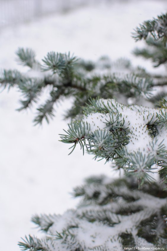 Снег зимой — Азиатские виниловые куклы (разное): Китай (фото 8)