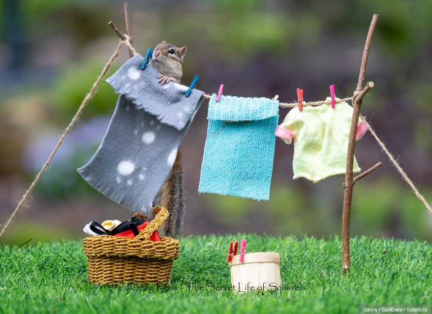 Миниатюры с белками от Nancy Rose (фото 10)