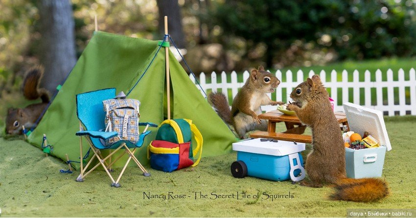 Миниатюры с белками от Nancy Rose