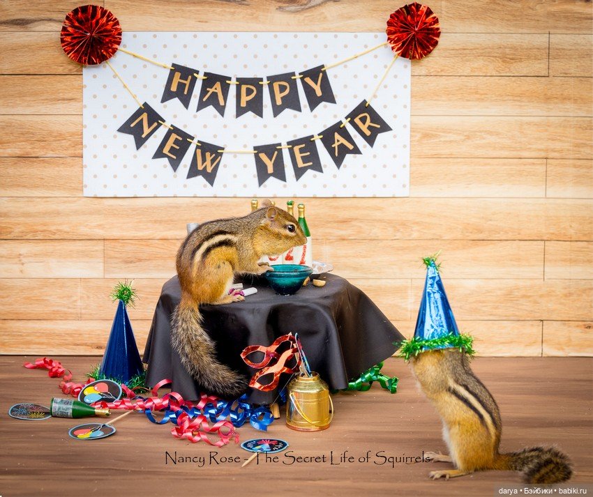 Миниатюры с белками от Nancy Rose (фото 8)