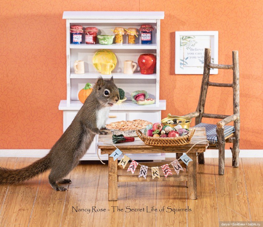 Миниатюры с белками от Nancy Rose