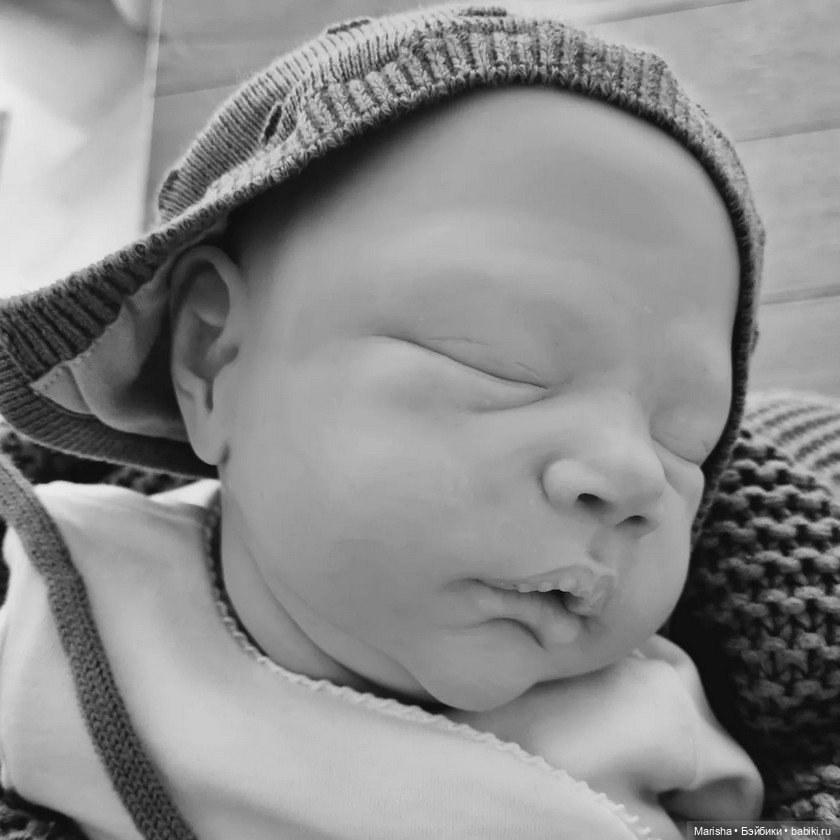 Alessandro скульптора Cassie Ann Brace (фото 2)