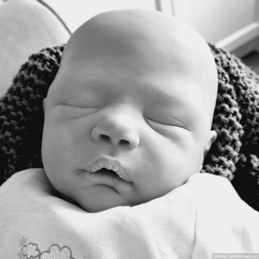 Alessandro скульптора Cassie Ann Brace (фото 5)