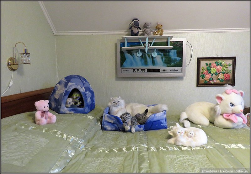 Гостевая комнатка, она же - фотоателье (фото 2)