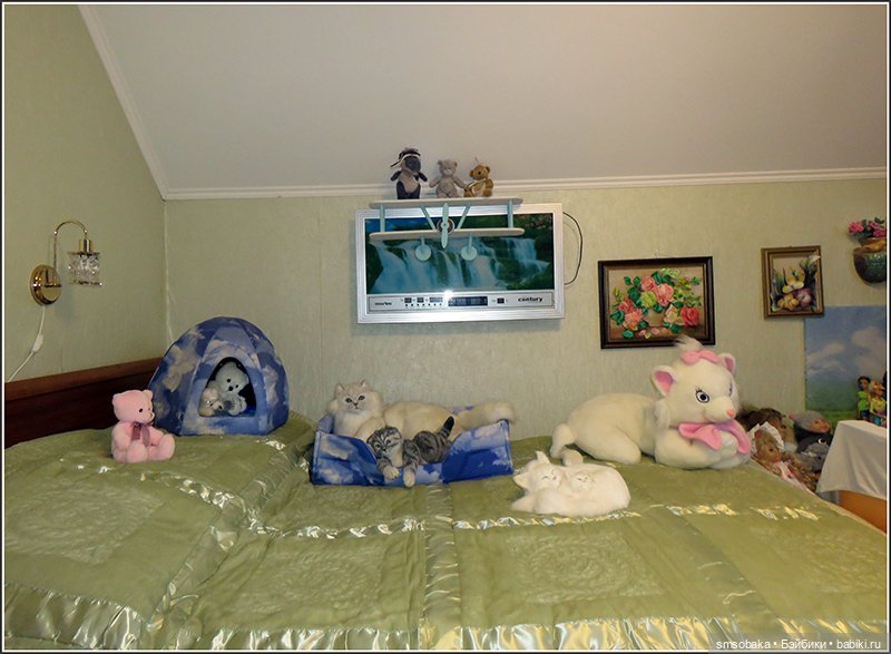 Гостевая комнатка, она же - фотоателье