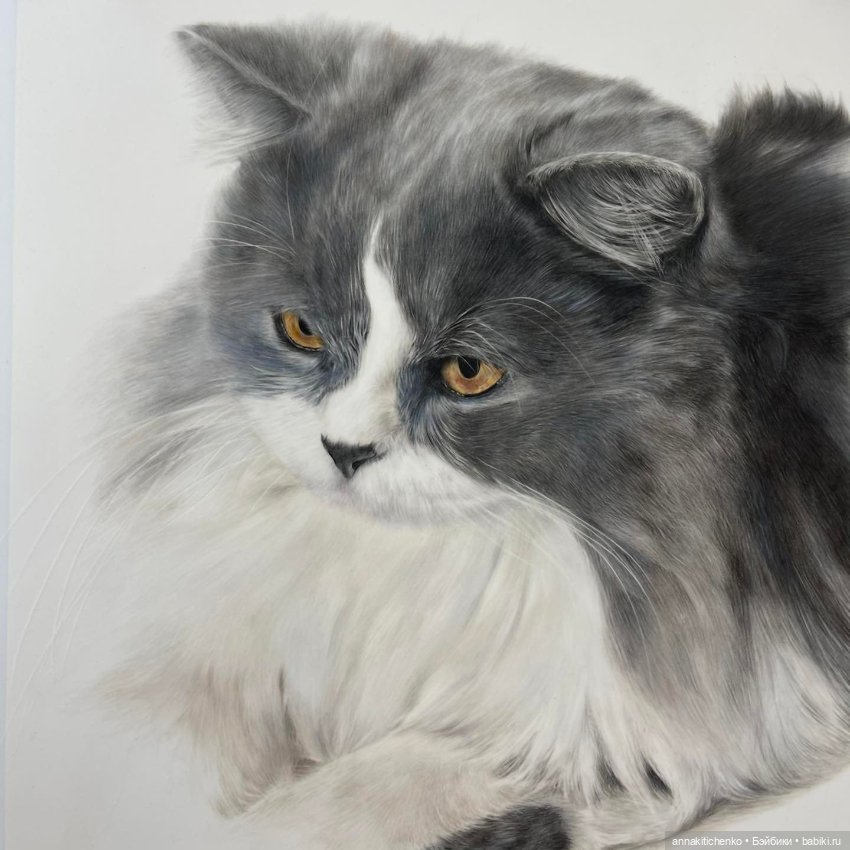 Гиперреалистичные портреты животных от Bonny Snowdon