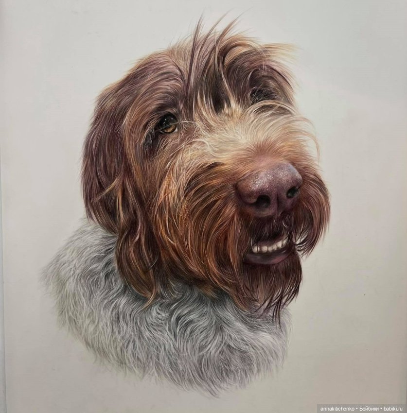 Гиперреалистичные портреты животных от Bonny Snowdon