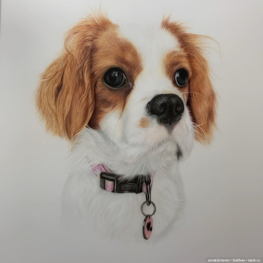 Гиперреалистичные портреты животных от Bonny Snowdon