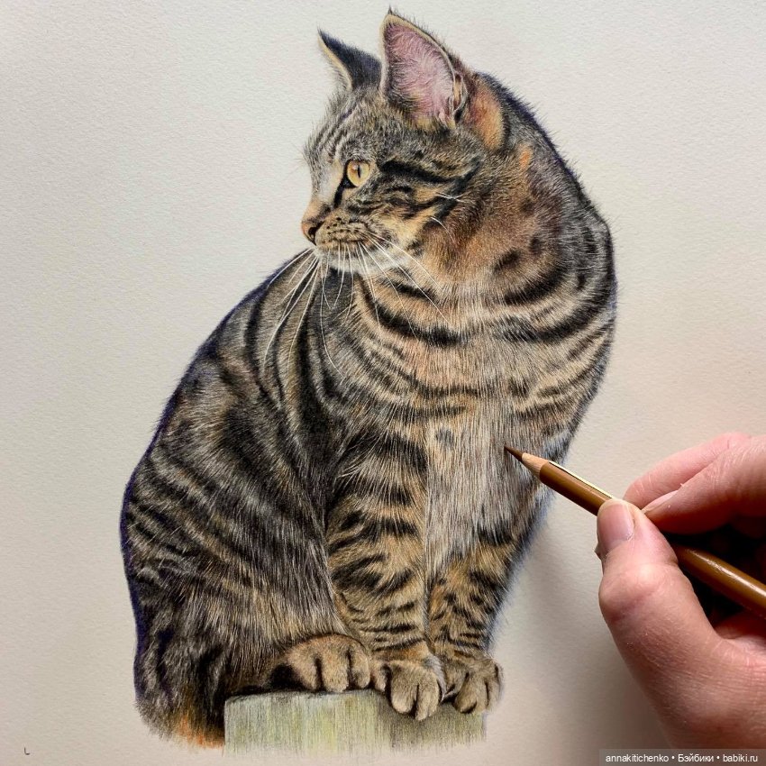 Гиперреалистичные портреты животных от Bonny Snowdon