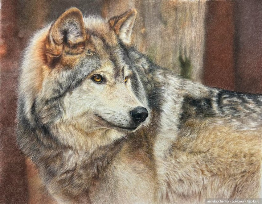 Гиперреалистичные портреты животных от Bonny Snowdon