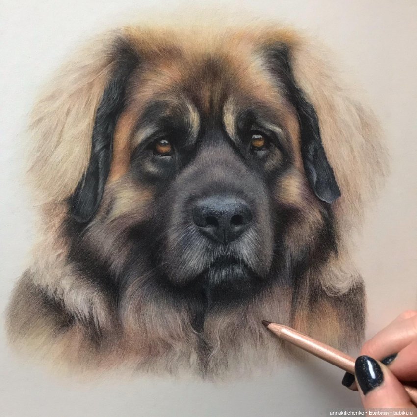 Гиперреалистичные портреты животных от Bonny Snowdon (фото 7)