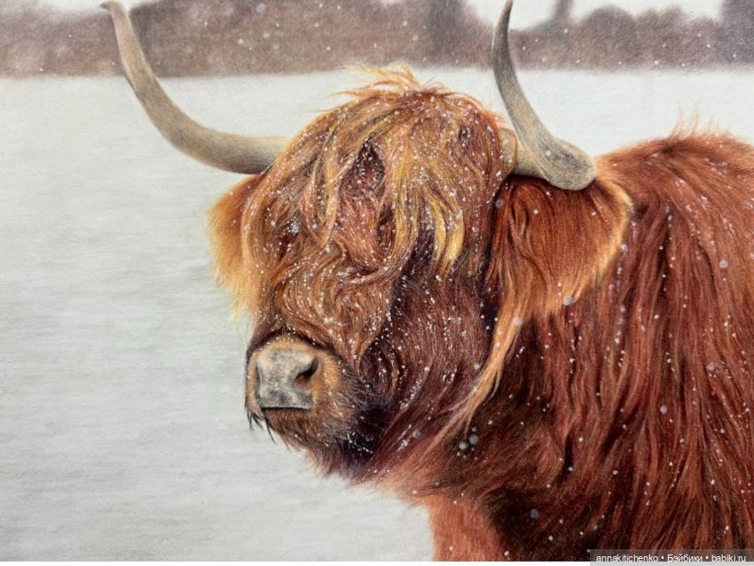 Гиперреалистичные портреты животных от Bonny Snowdon