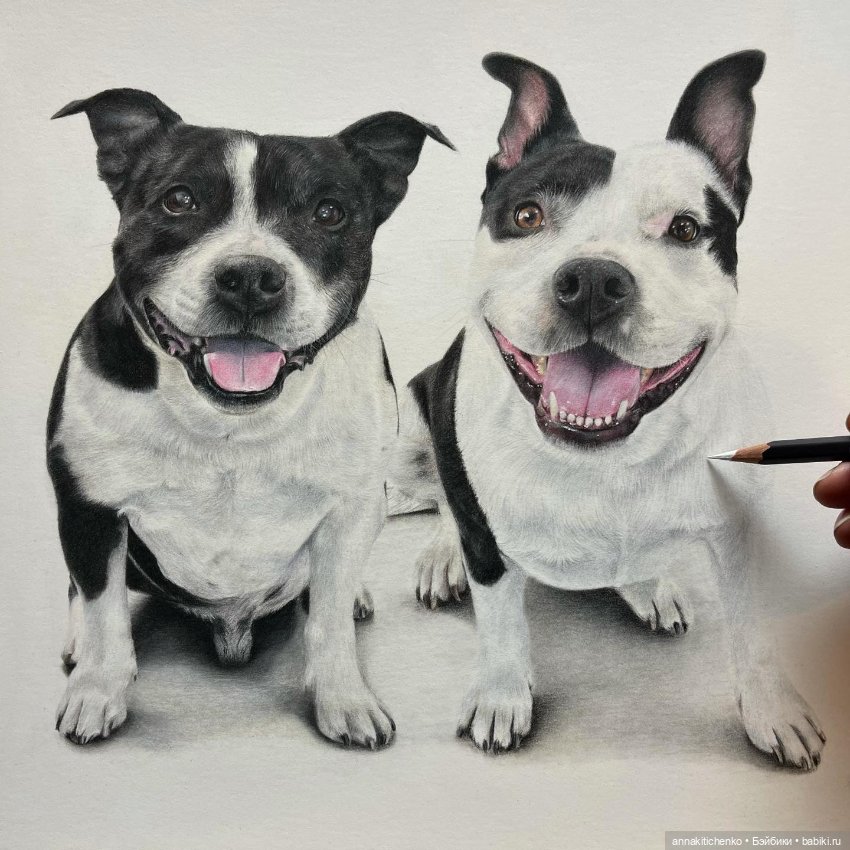 Гиперреалистичные портреты животных от Bonny Snowdon (фото 5)