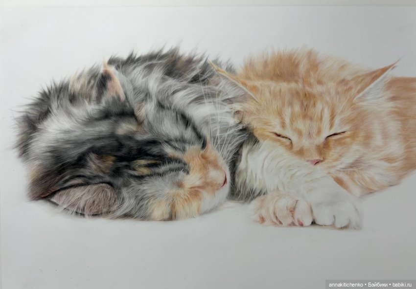 Гиперреалистичные портреты животных от Bonny Snowdon