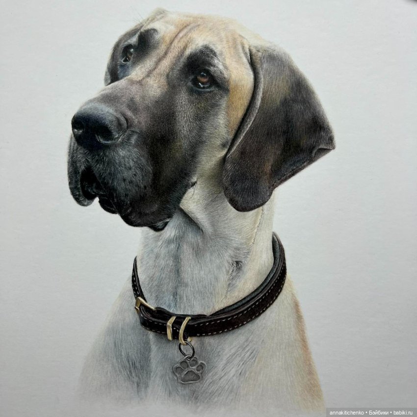 Гиперреалистичные портреты животных от Bonny Snowdon