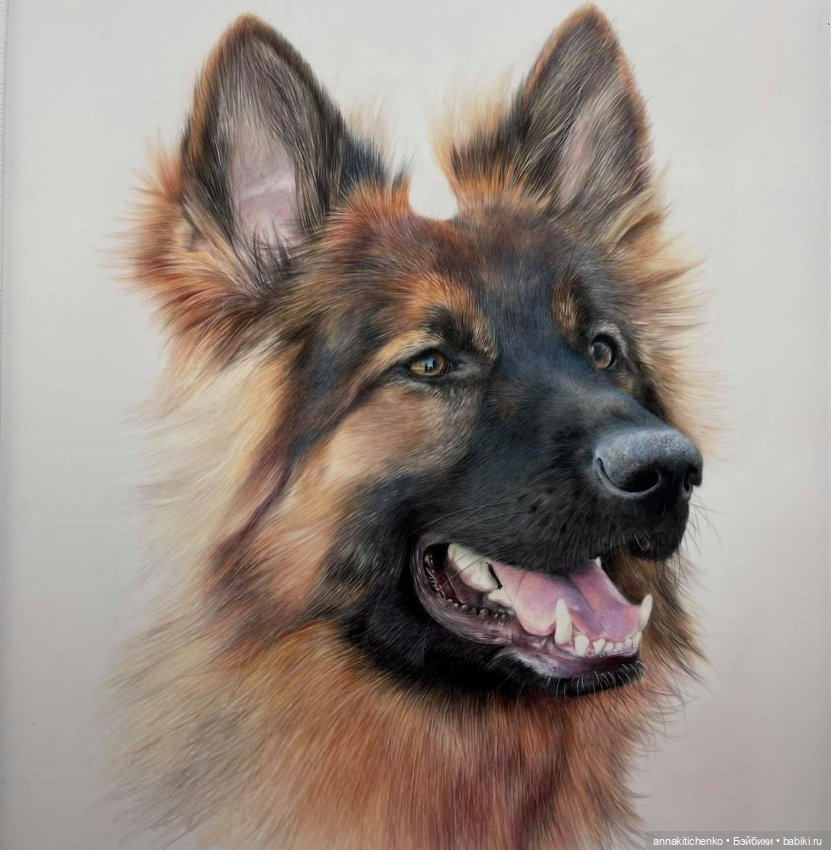 Гиперреалистичные портреты животных от Bonny Snowdon