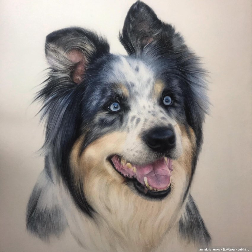 Гиперреалистичные портреты животных от Bonny Snowdon (фото 8)