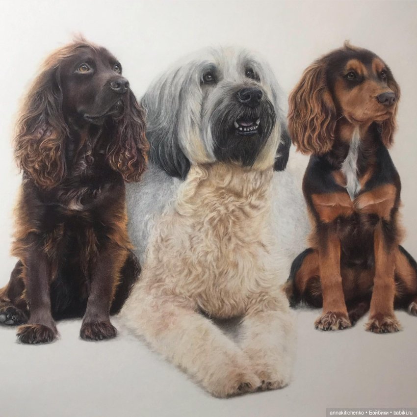 Гиперреалистичные портреты животных от Bonny Snowdon