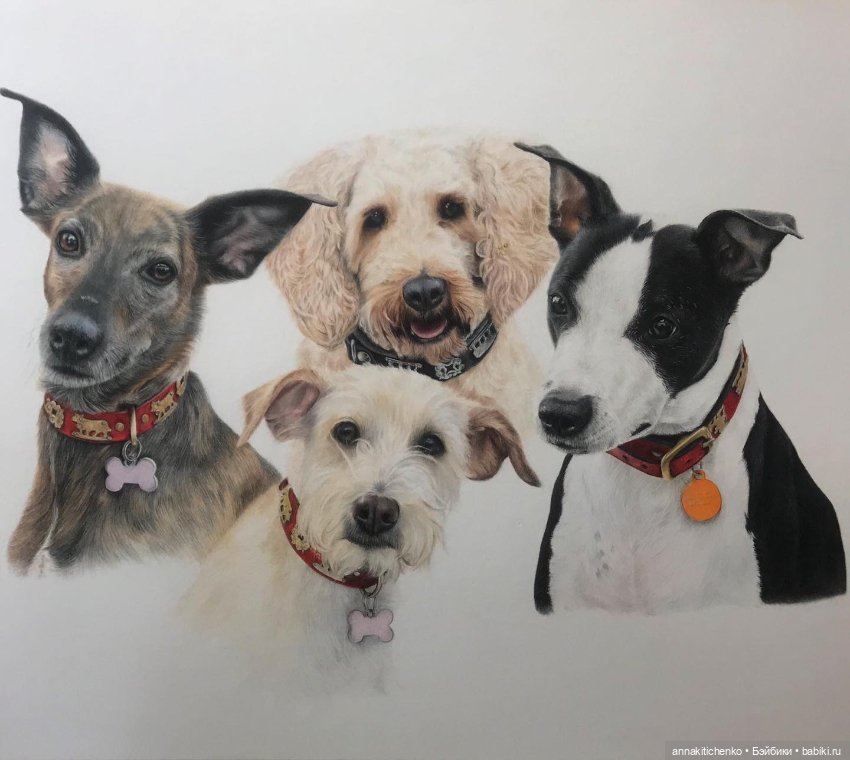 Гиперреалистичные портреты животных от Bonny Snowdon (фото 2)