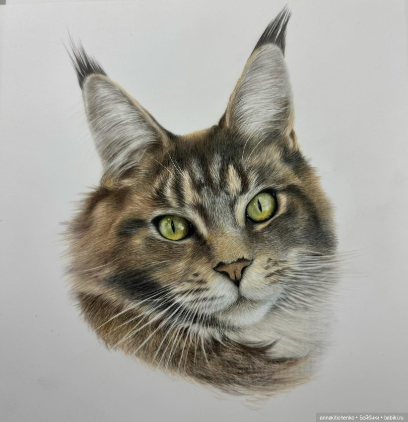 Гиперреалистичные портреты животных от Bonny Snowdon