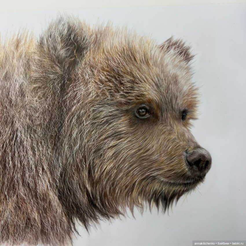 Гиперреалистичные портреты животных от Bonny Snowdon
