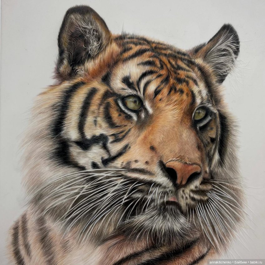 Гиперреалистичные портреты животных от Bonny Snowdon