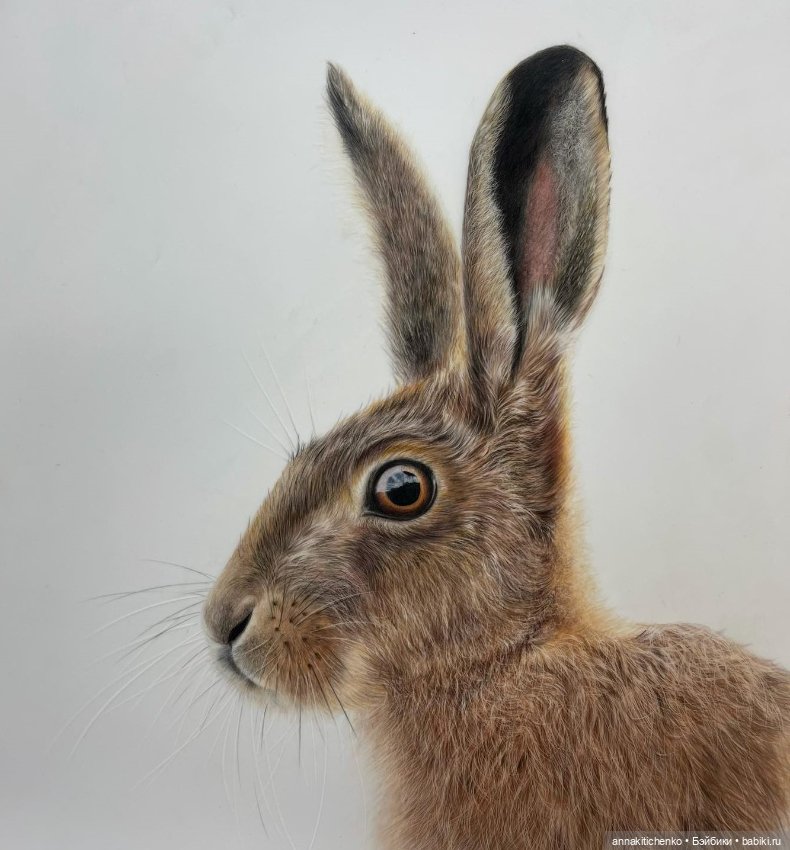 Гиперреалистичные портреты животных от Bonny Snowdon