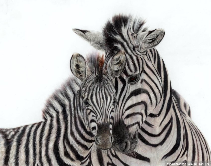 Гиперреалистичные портреты животных от Bonny Snowdon