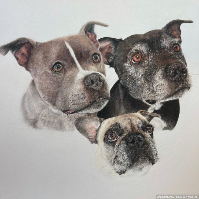 Гиперреалистичные портреты животных от Bonny Snowdon (фото 3)