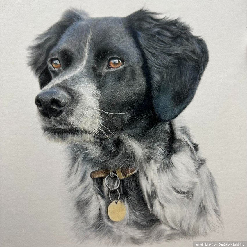 Гиперреалистичные портреты животных от Bonny Snowdon