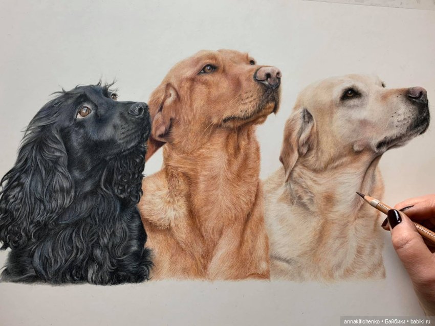 Гиперреалистичные портреты животных от Bonny Snowdon (фото 6)