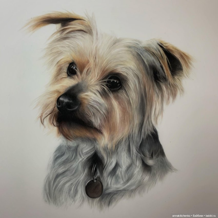 Гиперреалистичные портреты животных от Bonny Snowdon