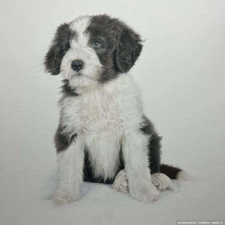 Гиперреалистичные портреты животных от Bonny Snowdon