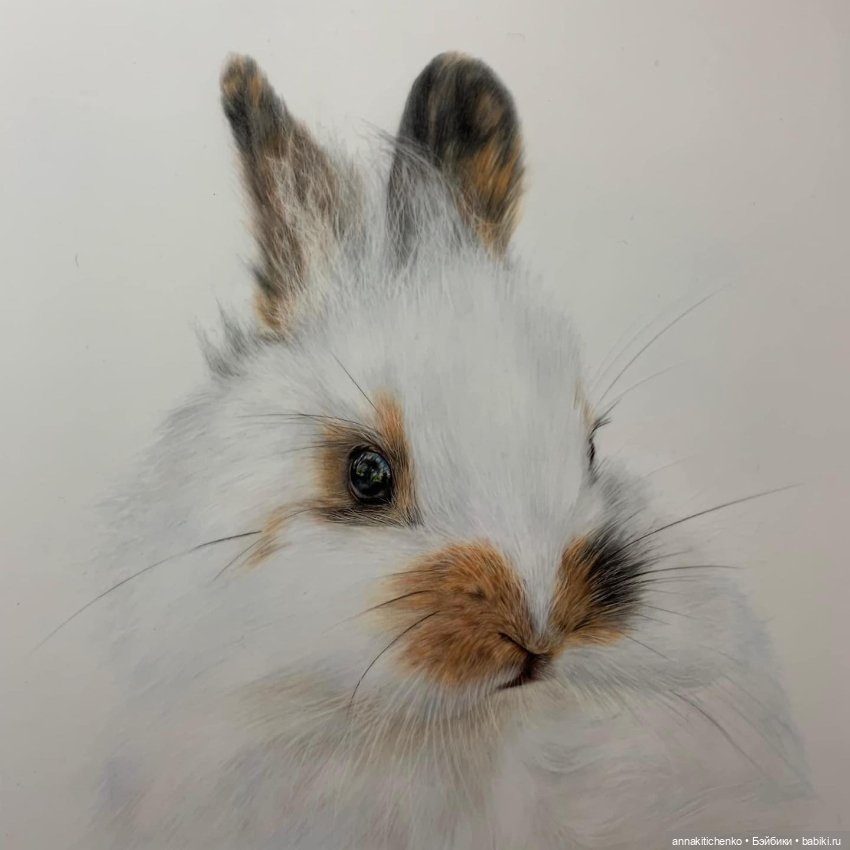 Гиперреалистичные портреты животных от Bonny Snowdon