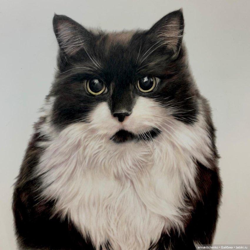 Гиперреалистичные портреты животных от Bonny Snowdon