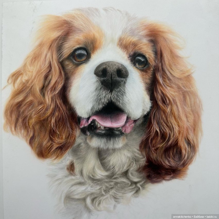 Гиперреалистичные портреты животных от Bonny Snowdon (фото 10)