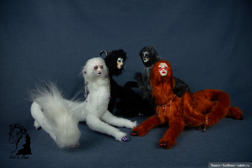 смесь сфинкса с обычной кошкой. сфинкс волосатик порода. корниш рекс кошка. кошка сфинкс помесь. кошка сфинкс метис.