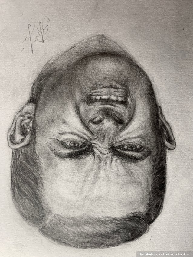 Рисую 😊 — Рисование и арт: скетчи