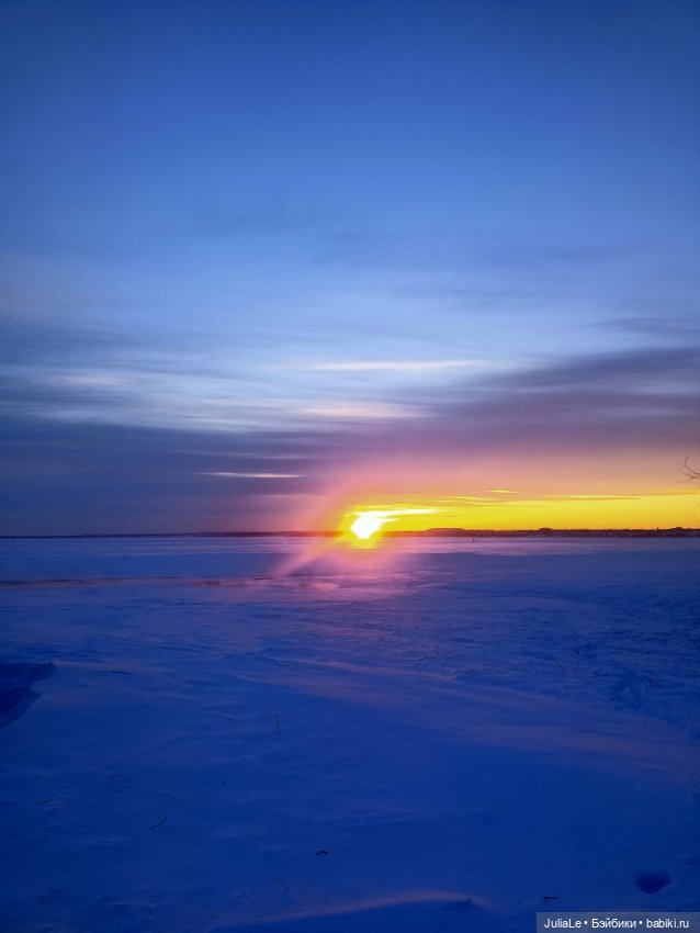 Дракулаура в нетипичных местах обитания (фото 7)