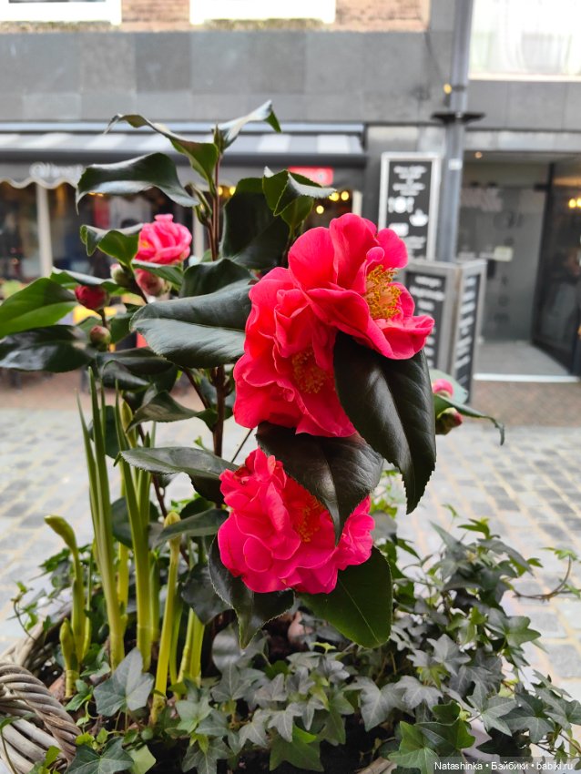 Музыкальная История 89 — Туризм и путешествия: фотоотчеты из поездок