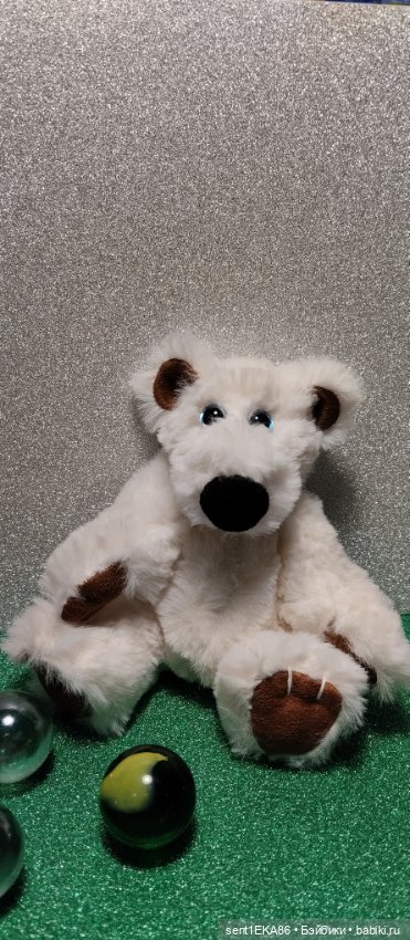 Белый медвежонок - голубые глазки (фото 2)