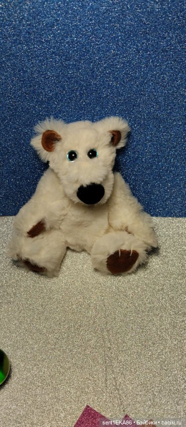 Белый медвежонок - голубые глазки (фото 4)